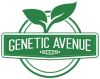 Genetic Avenue logo