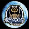 Night Owl Seeds logo